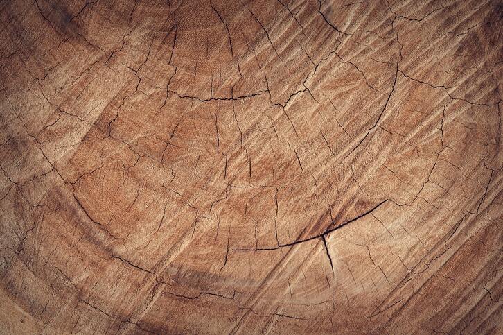 Textura de pavimento vinílico e flutuante aplicada profissionalmente pela REVIGOMES, garantindo acabamento de qualidade e durabilidade.
